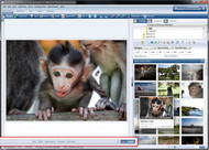 Ashampoo Photo Commander screenshot